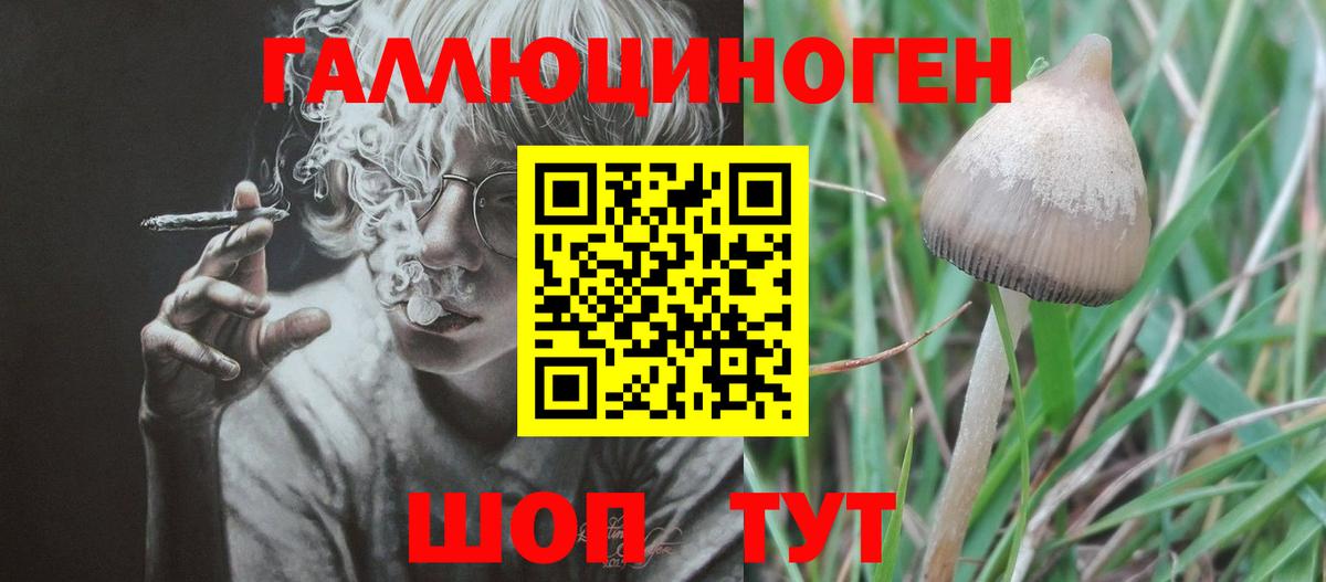 Галлюциногенные грибы GOLDEN TEACHER  дарнет шоп  Белогорск  Вход с VPN  Галлюциногенные грибы GOLDEN TEACHER 