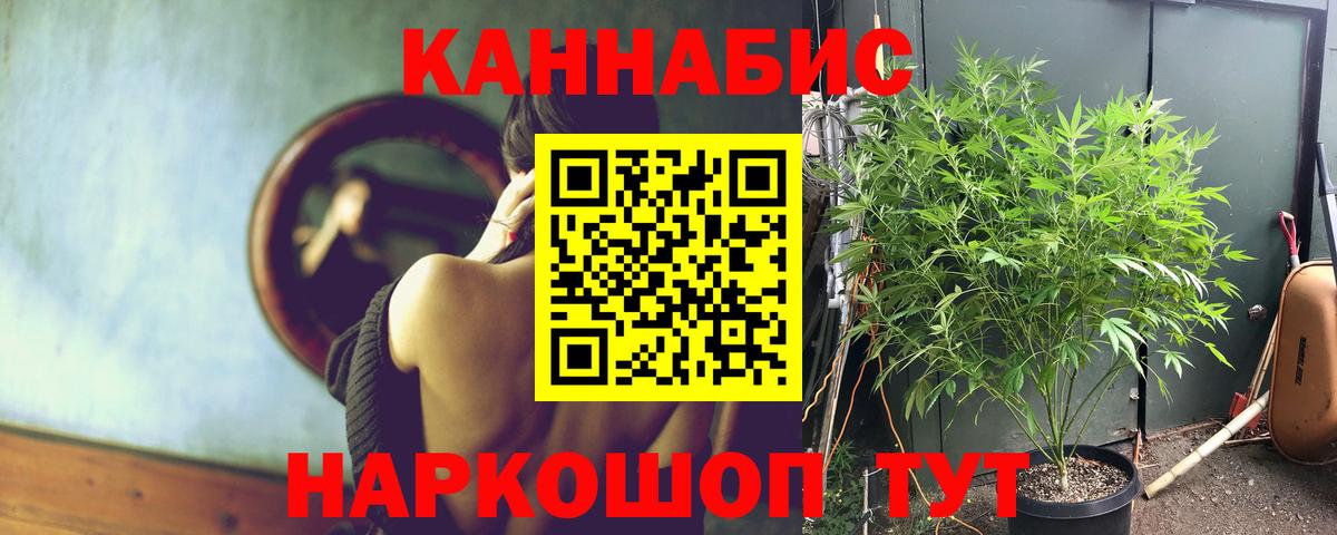 Белогорск  МАРИХУАНА OG Kush  Бошки Шишки сатива  Вход с VPN  Шишки марихуана OG Kush 